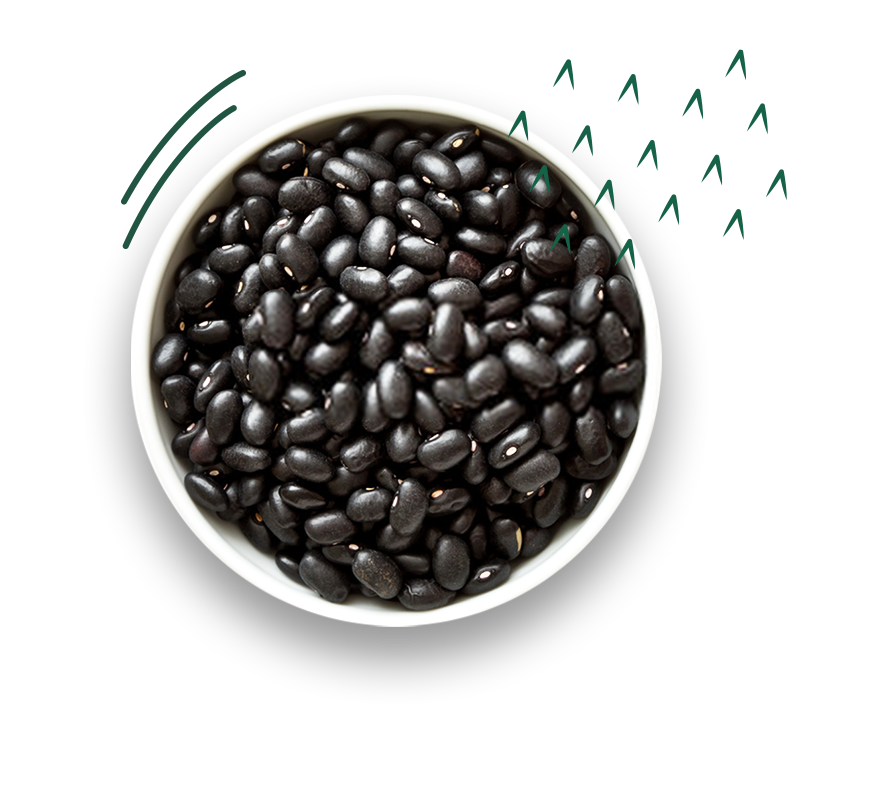 Feijão Preto Cozido no Vapor 500g Vapza Feijão Preto Cozido no Vapor 500g Vapza